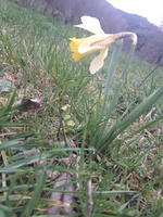 17100731097493558790371826918947