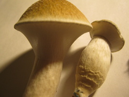 2012-04-16 20.30.47
