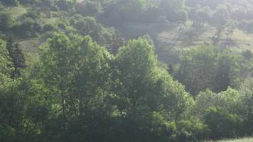 IMG 0862