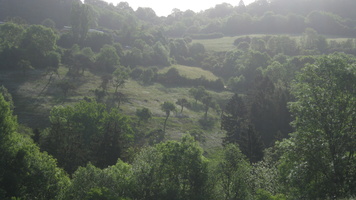 IMG 0863
