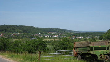 IMG 0873