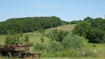 IMG 0874