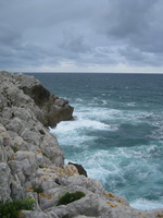 IMG 0918