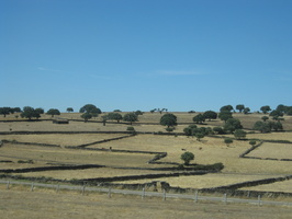 IMG 0973