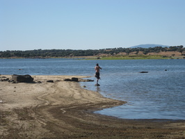 IMG 0990